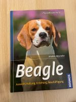 Beagle Kosmos Kreis Pinneberg - Elmshorn Vorschau