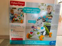 Fisher-Price Nordrhein-Westfalen - Horn-Bad Meinberg Vorschau