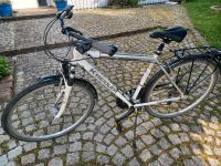 Trekkingrad Citybike Damenrad 28 zoll Baden-Württemberg - Gaildorf Vorschau