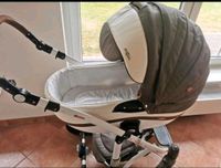 Kinderwagen Adamex Niedersachsen - Papenburg Vorschau