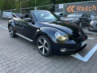 Volkswagen Beetle 2,0TDI 180PS Sport Design+Leder+Navi+Xeno Herzogtum Lauenburg - Wentorf Vorschau