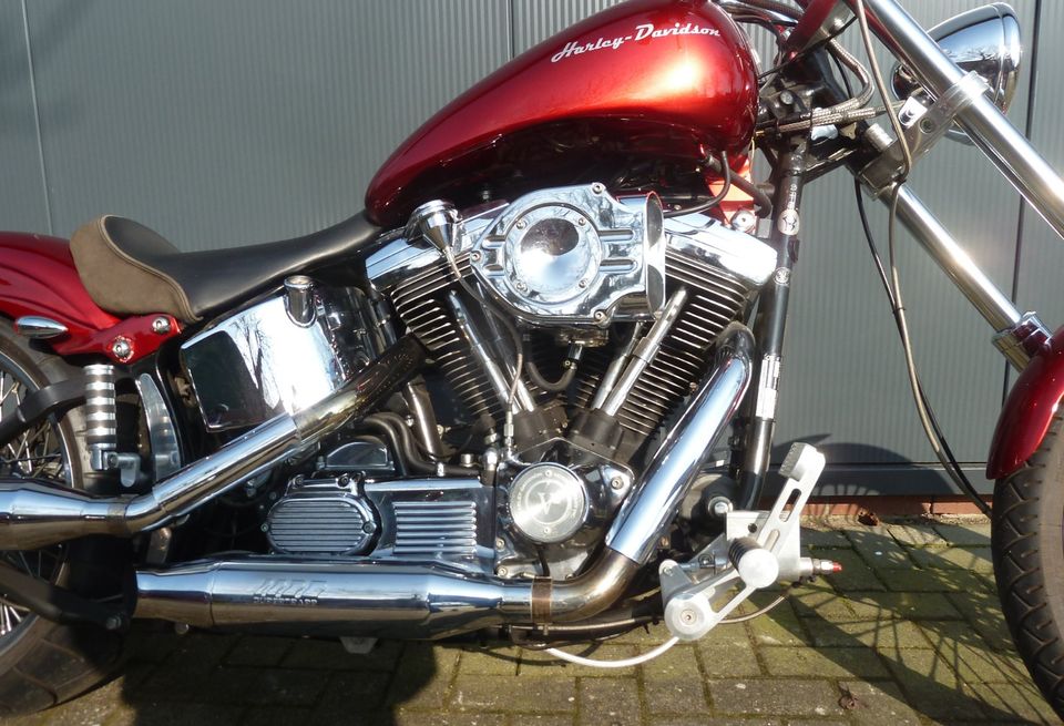 Harley Davidson Softail in Bokel