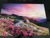 1000 Teile Puzzle Sommerlandschaft Düsseldorf - Eller Vorschau