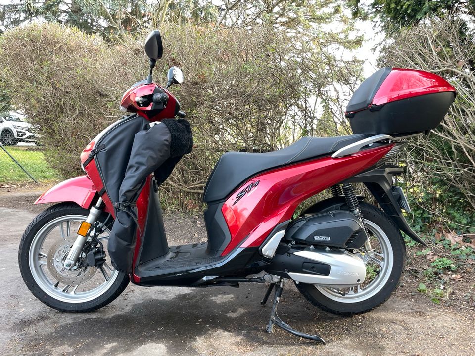 Honda Roller 125i / 1.504km / 123ccm / 9kW in Dresden