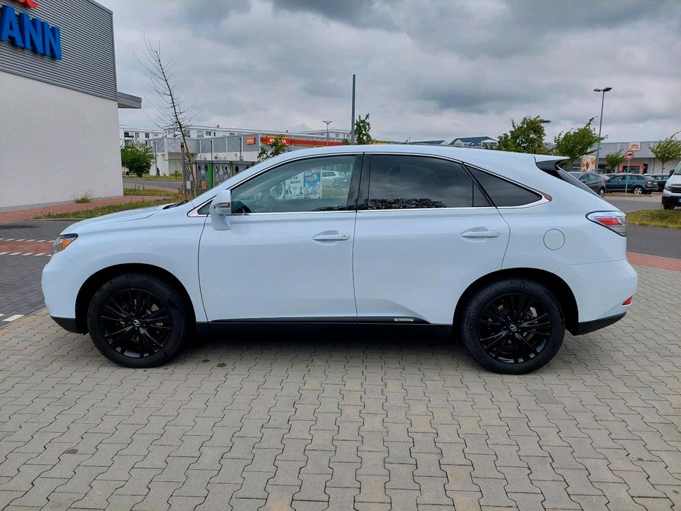 Lexus RX450h, Xenon, Navi, HuD, Leder in Werder (Havel)