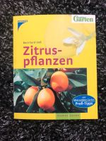 Buch Zitruspflanzen von mein schöner Garten Bayern - Regensburg Vorschau