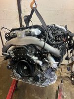 Motor Audi SQ7 SQ8 4.0 TDI CZA CZAB 435PS V8 Komplett Sachsen - Torgau Vorschau