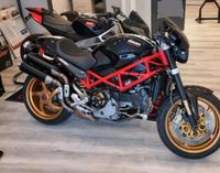 Ducati Monster S4R - komplett Neuaufbau - Sammlerzustand Sachsen-Anhalt - Reddeber Vorschau