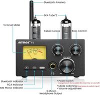 AIYIMA T5 6K4 Vakuumröhrenverstärker Phonoverstärker TDA7498E Frankfurt am Main - Gallusviertel Vorschau