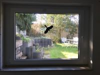 Fenster (gebraucht, dreifach verglast) Nordrhein-Westfalen - Erkrath Vorschau