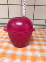 Tupperware Vesperdose Box to Go Äpfel Obst Baden-Württemberg - Tübingen Vorschau