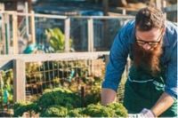 Grundstück Garten oder Schrebergarten für Freizeit gesucht Frankfurt am Main - Riederwald Vorschau