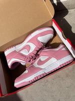 Nike Dunk next nature NEU Brandenburg - Wriezen Vorschau