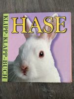 Klipp-Klapp-Buch Hase, Kinderbuch, Bilderbuch Köln - Merkenich Vorschau