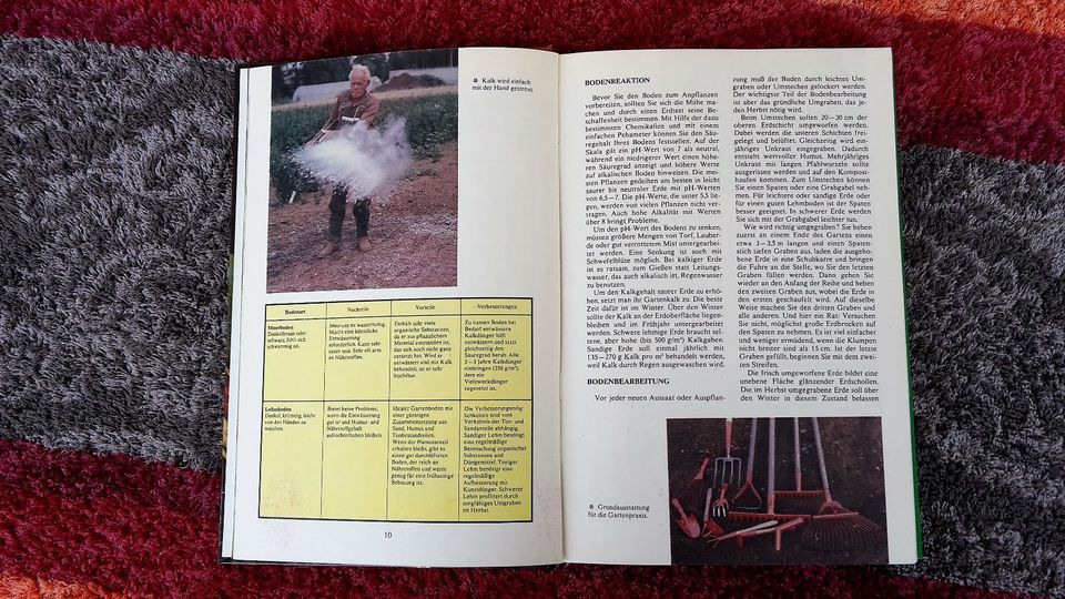 Gemüse im Garten / Garten Grammatik vom ARTIA Verlag Prag 1984 in Jena