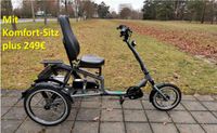 Pfautec Trizon BERG-MOTOR E-Bike wie Scoobo Sesseldreirad Brandenburg - Cottbus Vorschau