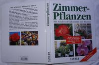 BL Tandem Verlag Zimmerpflanzen ST Dekorieren mit Blumen Ratgeber Rheinland-Pfalz - Breitscheid Vorschau