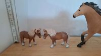 Schleich süße kleine Ponys und Esel Thüringen - Jena Vorschau