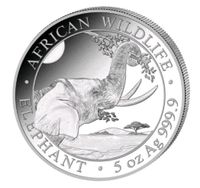 Somalia Elefant 5 oz Silbermünze 2023 Hessen - Schöneck Vorschau