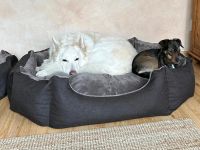 Stoff-Hundebett, Ecki, waschbar, abnehmbarer Bezug Nordrhein-Westfalen - Hennef (Sieg) Vorschau