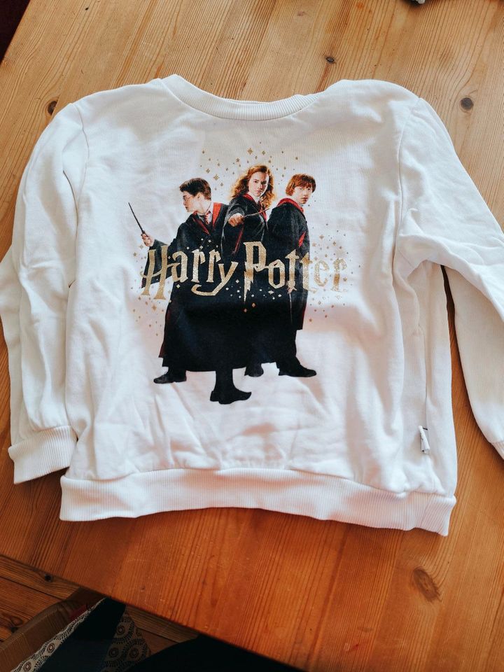 Pullover H&M Gr. 110/116 Harry Potter in Wustrow (Wendland)