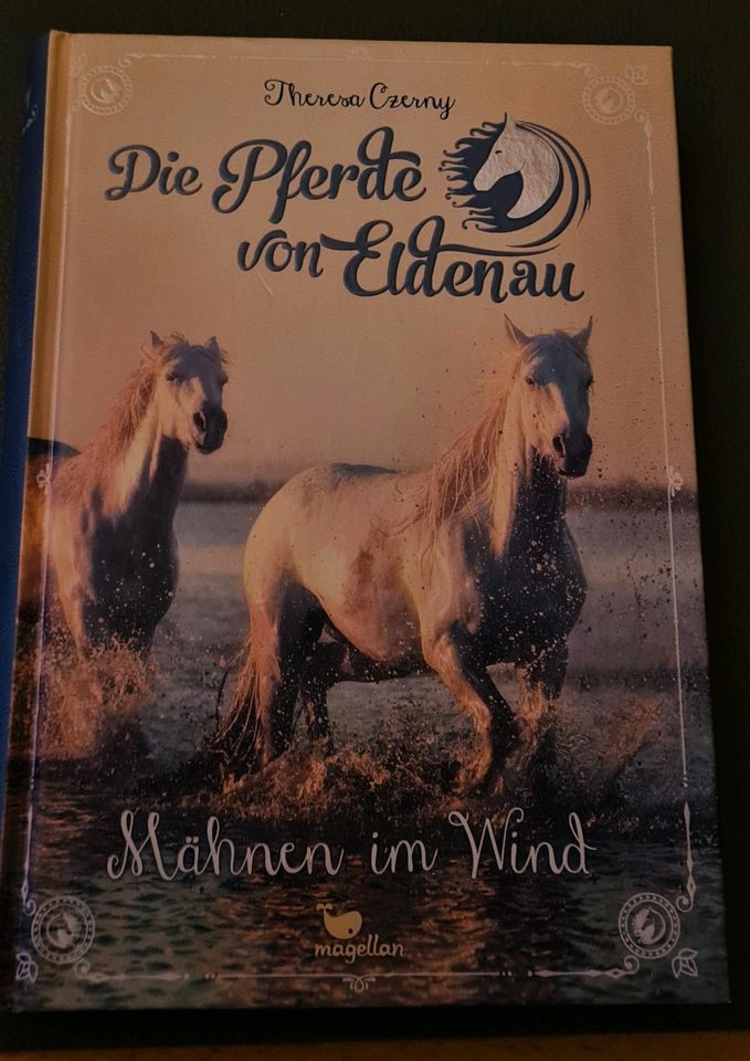 Die Pferde von Eldenau, Mähnen im Wind in Mutterstadt