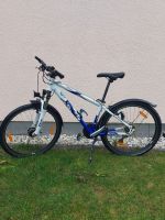 Gebrauchtes X-Tract Jugend Mountainbike 26 Zoll Bayern - Neunburg Vorschau