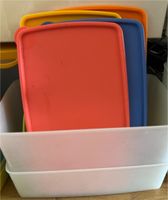 Tupperware 2 Gefrierbehälter 1,3 l rechteckig ca 27cm Hessen - Hanau Vorschau