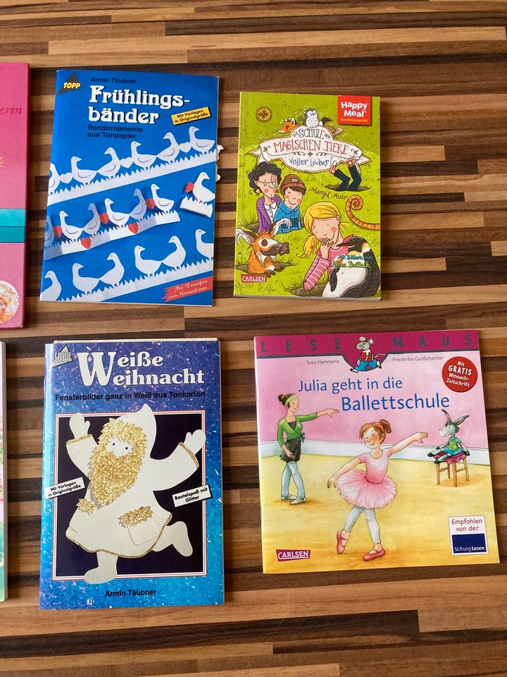 Kinderbücher und bastelbücher u.a. Barbie, Schule der magischen in Brombachtal