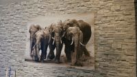 Leinwand Bild Elefanten Berlin - Hohenschönhausen Vorschau