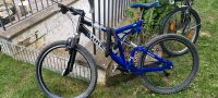 Herren / Kinder Fahrrad blau 26 Zoll Nordrhein-Westfalen - Willich Vorschau