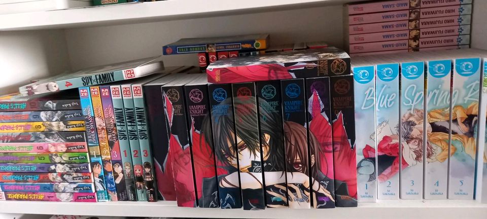 Auflösung Manga Sammlung in Sankt Augustin