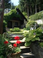 FERIENHAUS IM HARZ, RÜBELAND Sachsen-Anhalt - Elbingerode (Harz) Vorschau