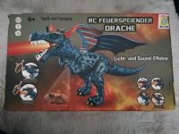 RC Feuerspeiender Drache Hessen - Grasellenbach Vorschau