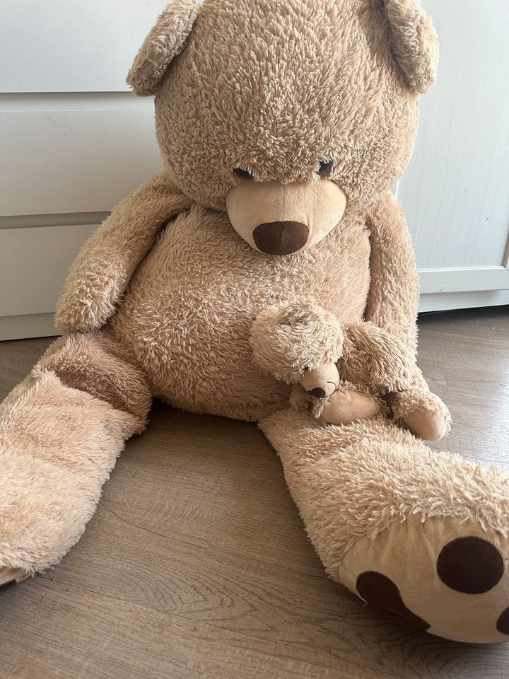 Teddybär groß in Sankt Augustin