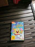 DVD Spongebob Bayern - Donauwörth Vorschau