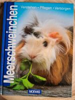 Meerschweinchen Buch Nordrhein-Westfalen - Vlotho Vorschau