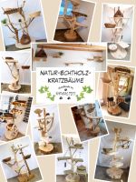 Naturkratzbaum handmade by NATURAL PETS Baden-Württemberg - Obersontheim Vorschau