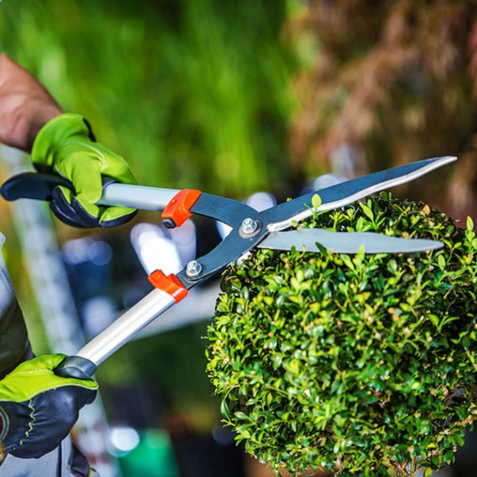 Gartenarbeit, Hausmeister-Service, Immobilien, Möbelmontage in Plettenberg