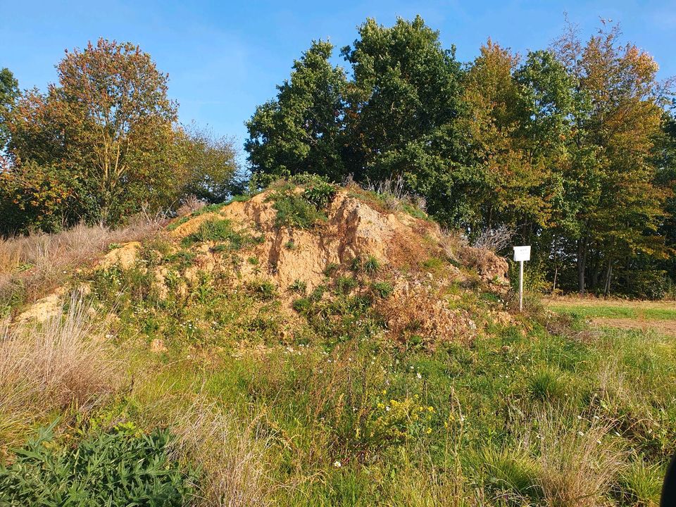 Erdaushub kostenlos abzugeben in Eichenzell