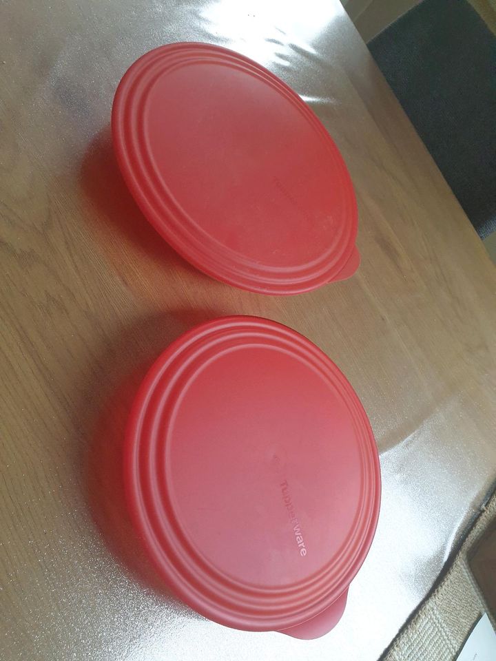 Tupperware Schüssel Set NEU in Gelsenkirchen