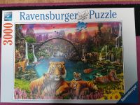 Puzzle Ravensburger 3000 Teile Tiger Müritz - Landkreis - Fünfseen Vorschau