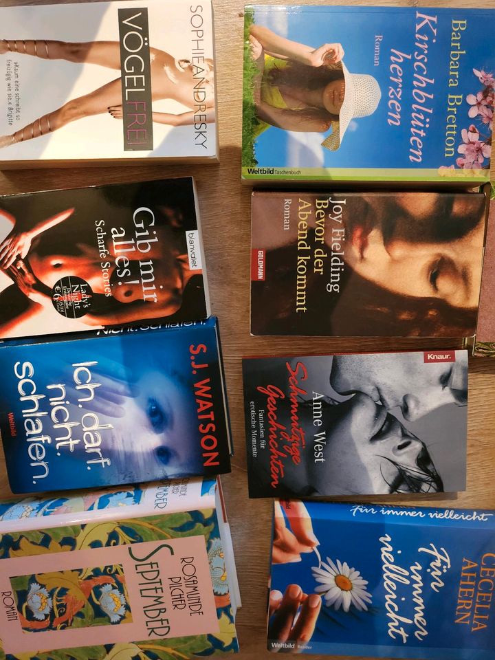Romane , Rosamunde Pilchet, Joy Fielding etc. in Bad Kreuznach