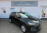 Opel Grandland X*CAM*SHZ*PDC*MFL*BC*GRA*LRHZ*CARPLAY* Thüringen - Mühlhausen Vorschau