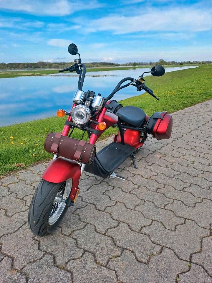 Moped Elektro 45km/h in Hansestadt Seehausen