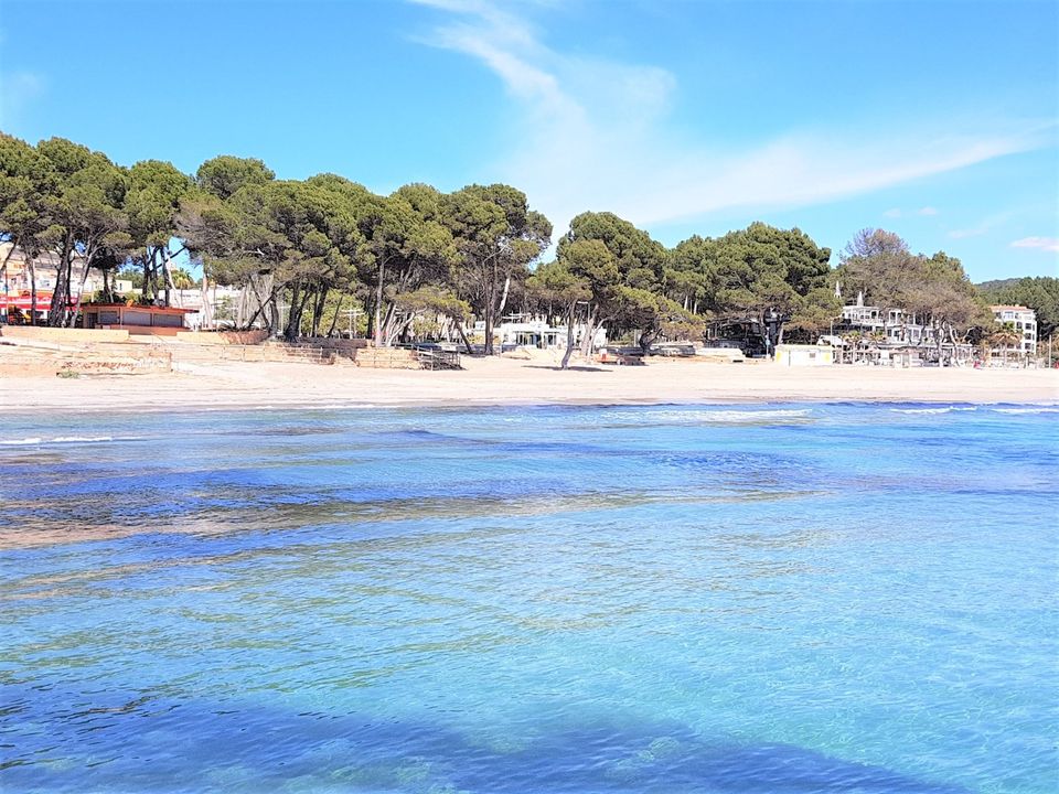 Strandnahe Ferienwohnung mit 3 Schlafzimmern, Paguera Mallorca in Berlin