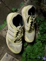 Adidas boost Sneaker Turnschuhe Jogging Fitness Nordrhein-Westfalen - Kerpen Vorschau