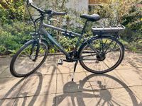 EBike Zündape Comfort Green 4.7 3 x Akku Niedersachsen - Scheeßel Vorschau