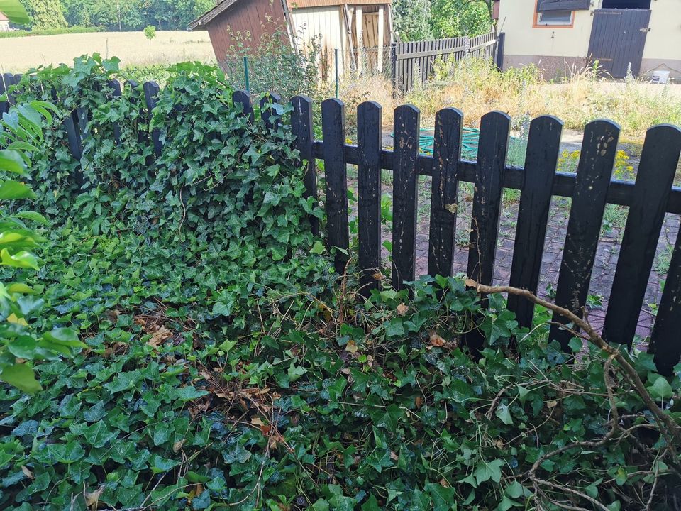 Hausmeisterservice Transporte Umzüge Hilfe Gartenarbeit Silikon in Werder (Havel)