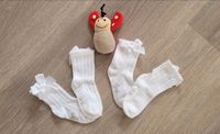 Socken Söckchen Baby Gymp festlich 15-18 mit Schleife Rheinland-Pfalz - Rheinbreitbach Vorschau